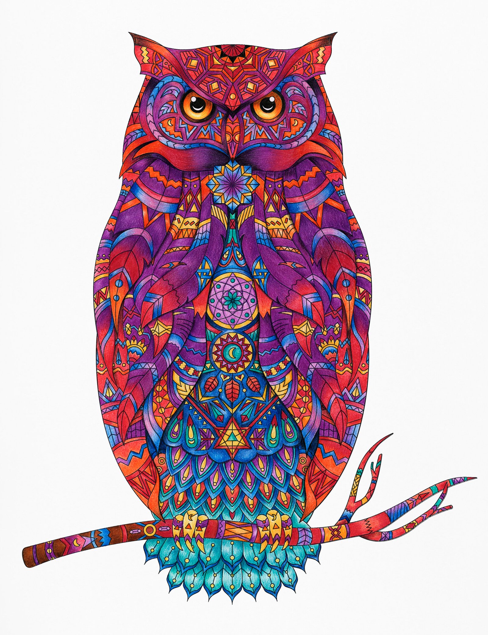 Illustration of animal adult coloring page